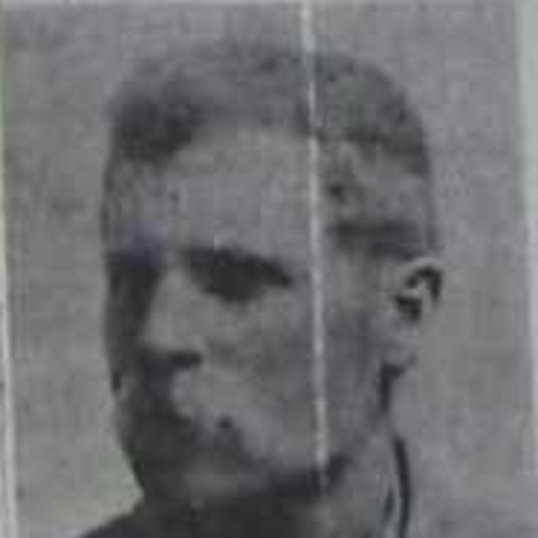 Alfred Fenton Newby (1856 - 1928) Profile